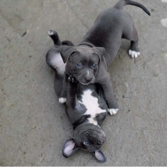 A HAPPY FRIDAY TO EVERYONE!!!! - Picture 2 of 3